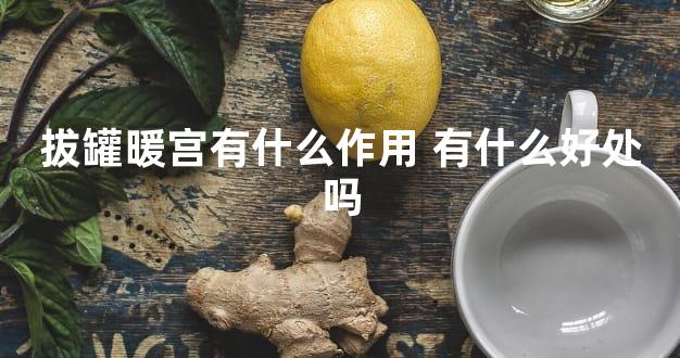 拔罐暖宫有什么作用 有什么好处吗